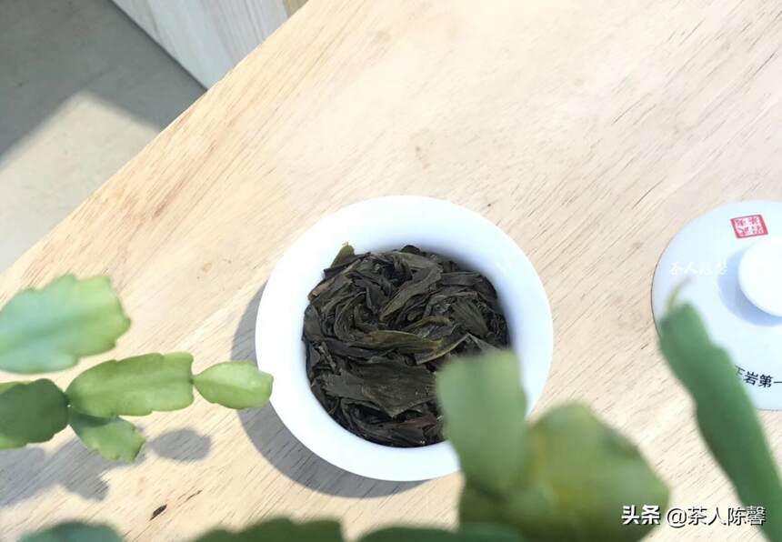 茶渣的咸鱼大翻身，喝剩的茶渣大有用处