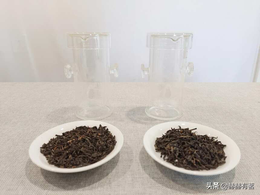 冲泡散状黑茶要润茶吗？润茶和不润茶的差距在哪？答案就在实验中