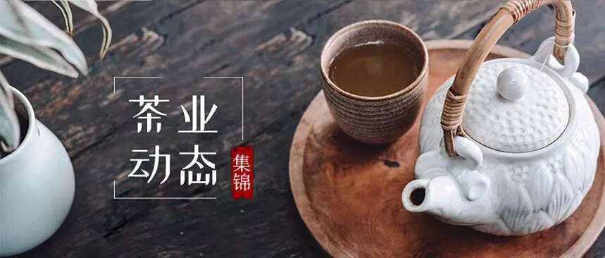 赣茶·动态 | 江西茶产业发展座谈会在婺源召开