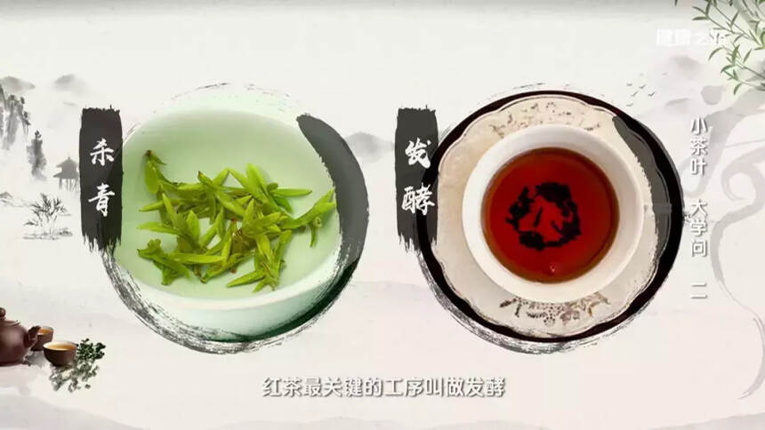 还在保温杯里冲热茶？别再喝了！红茶8问，揭开认知误区