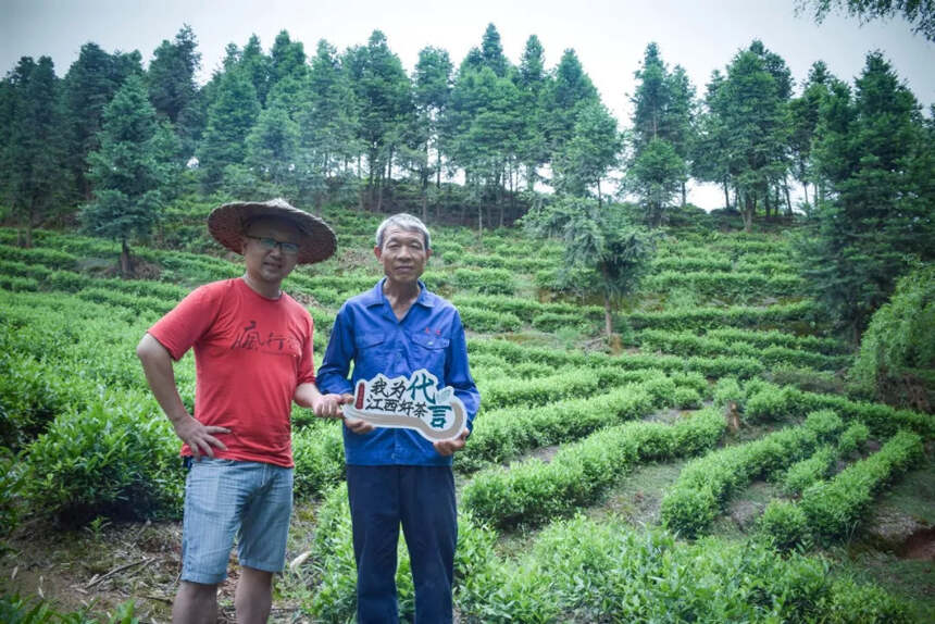 赣茶·寻茶记 | 立足青山绿水 做一杯生态好茶