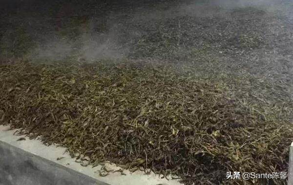 评茶篇————20，黑茶之 湖南黑茶篇