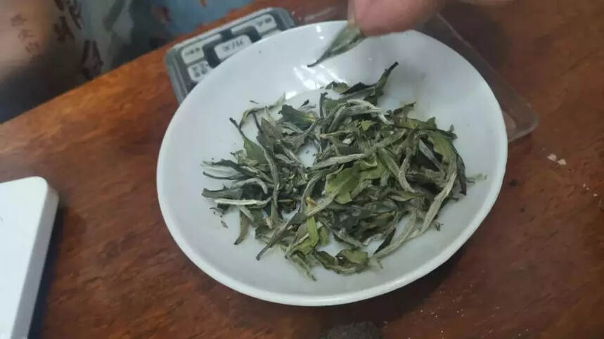 评茶真经--辨识老白茶（一）