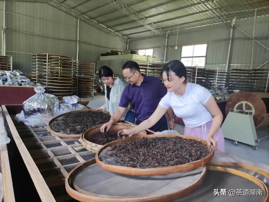 茶人访谈 | 焦海珍：因为热爱茶文化，所以选择大湘西