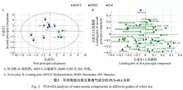 不同等级福鼎白茶香气成分研究