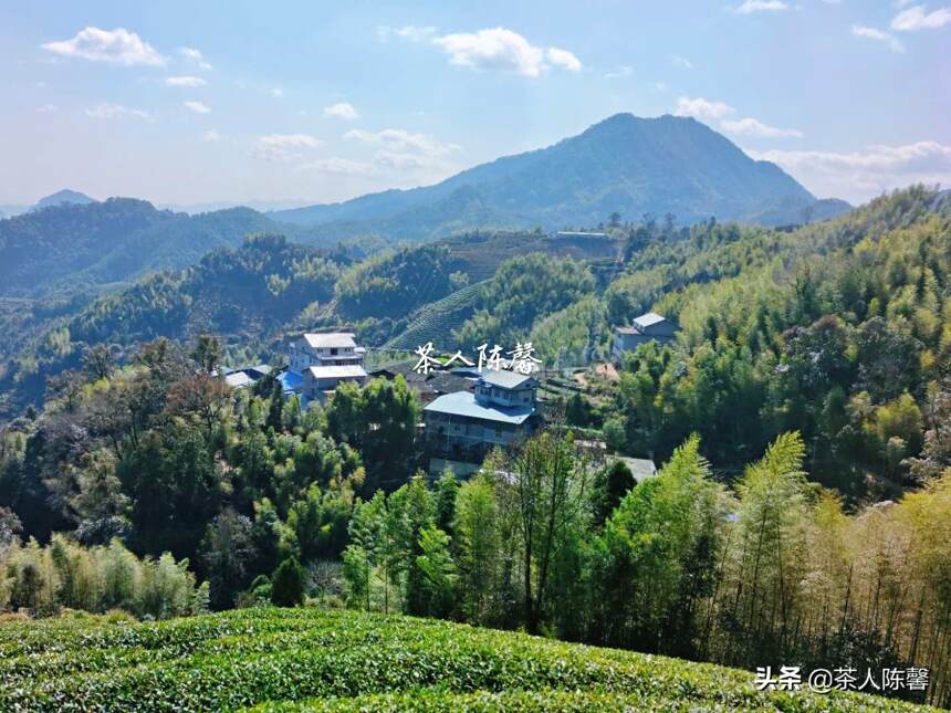 一杯岩茶 氤氲生香，宁可一日无食，不可一日无茶