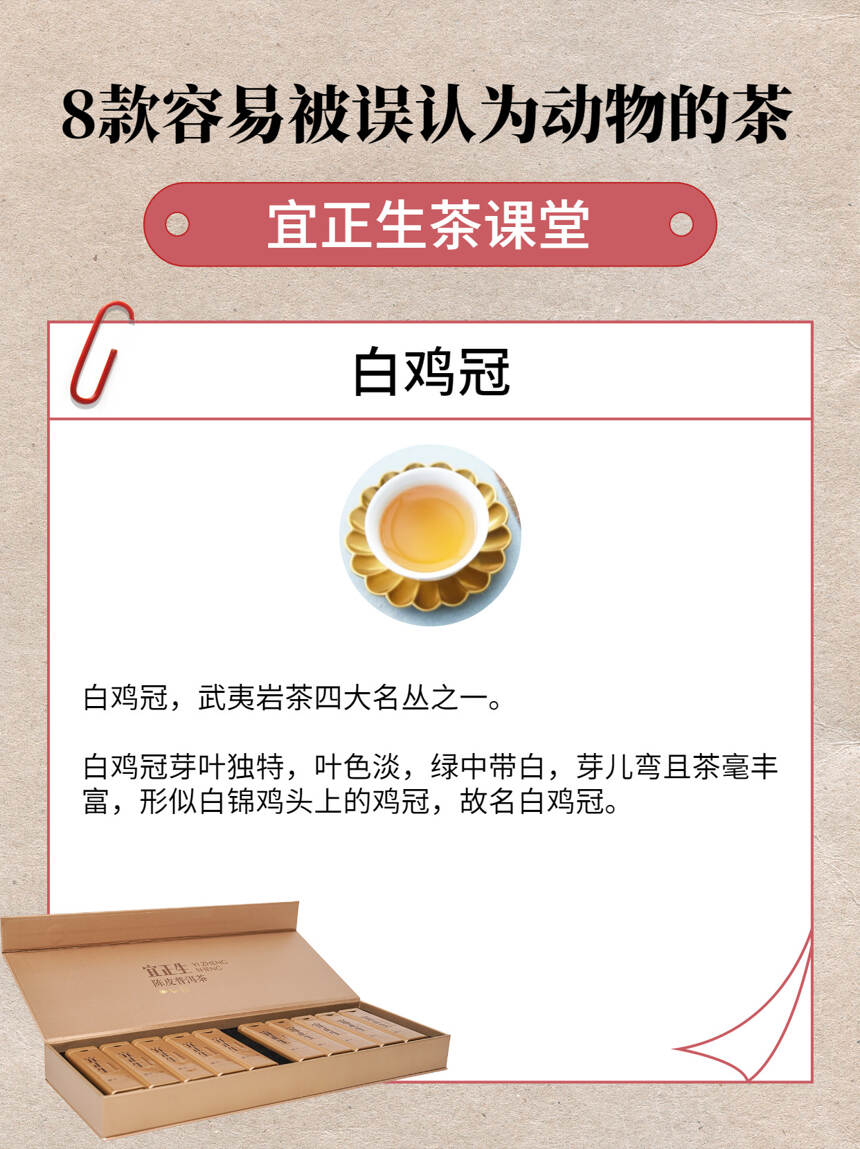 8款容易被误认为动物的茶，你喝过几个？