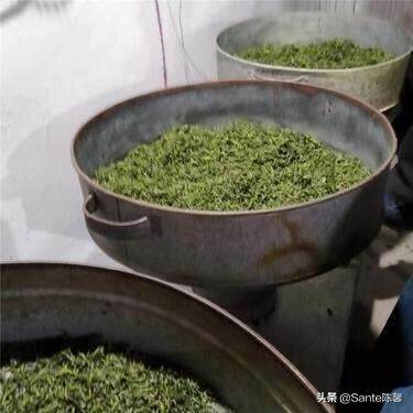 评茶篇————22，绿茶类 之 恩施玉露篇