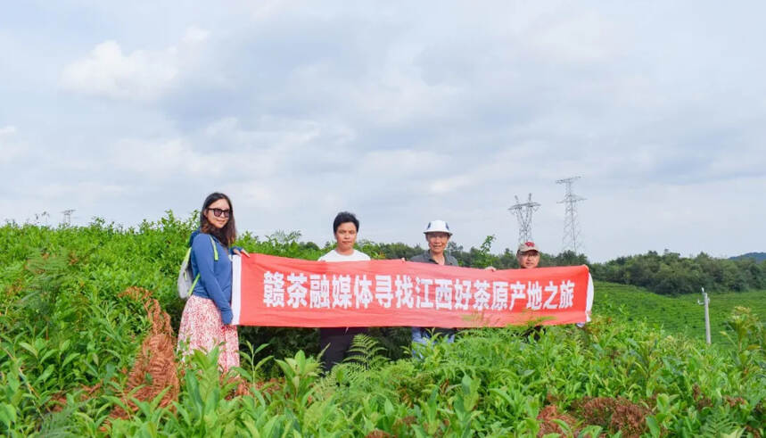 赣茶·寻茶记｜这杯“云台山”茶 喝出了定南的味儿「第84站」