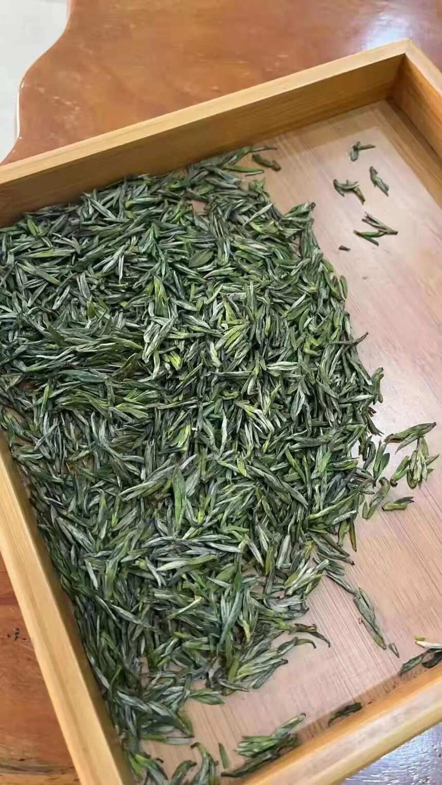 茶中精品品毛尖，芽茶