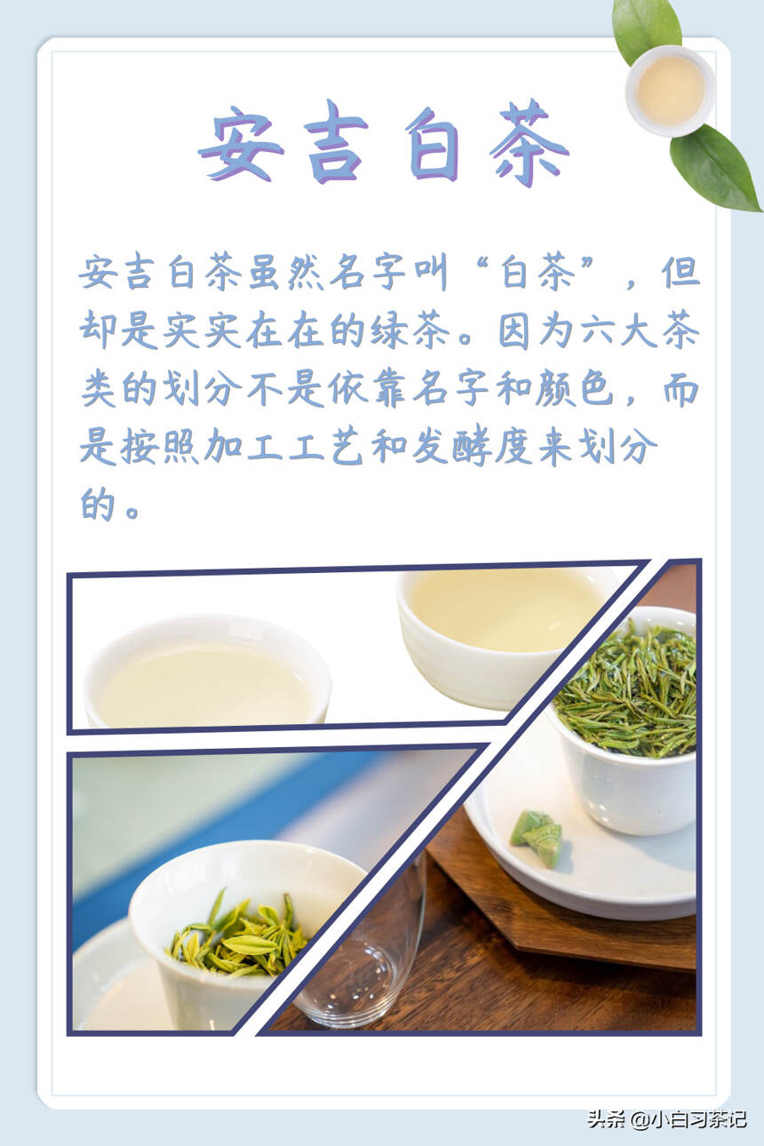 安吉白茶到底是不是白茶？干货满满