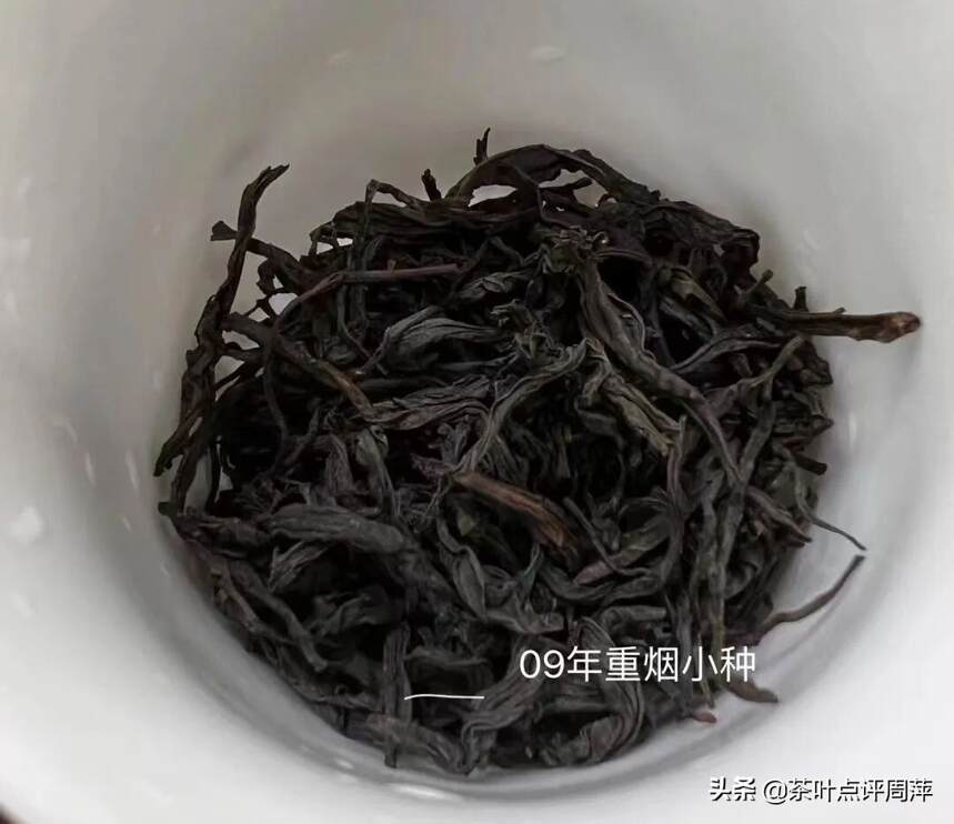 抵达桐木关：探索传统烟小种制作工艺