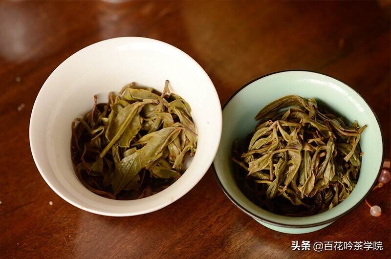 你买的古树春茶可能是台地茶，教你区别古树茶和台地茶