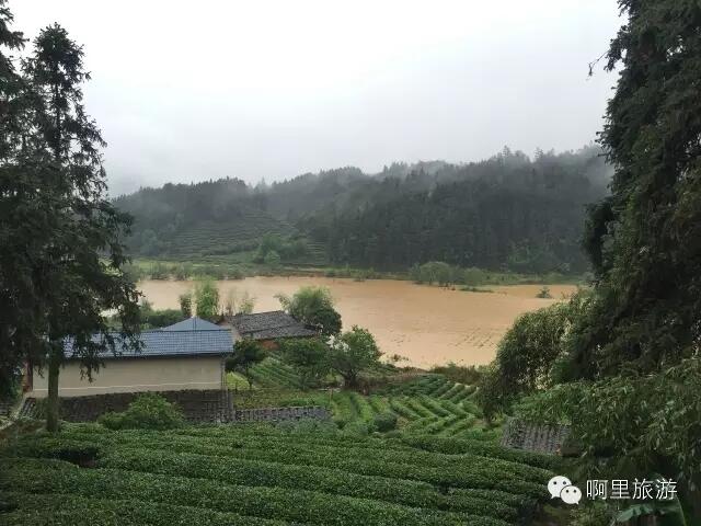 为茶乡祈福|武夷山景区暂时关闭 抗洪抢险