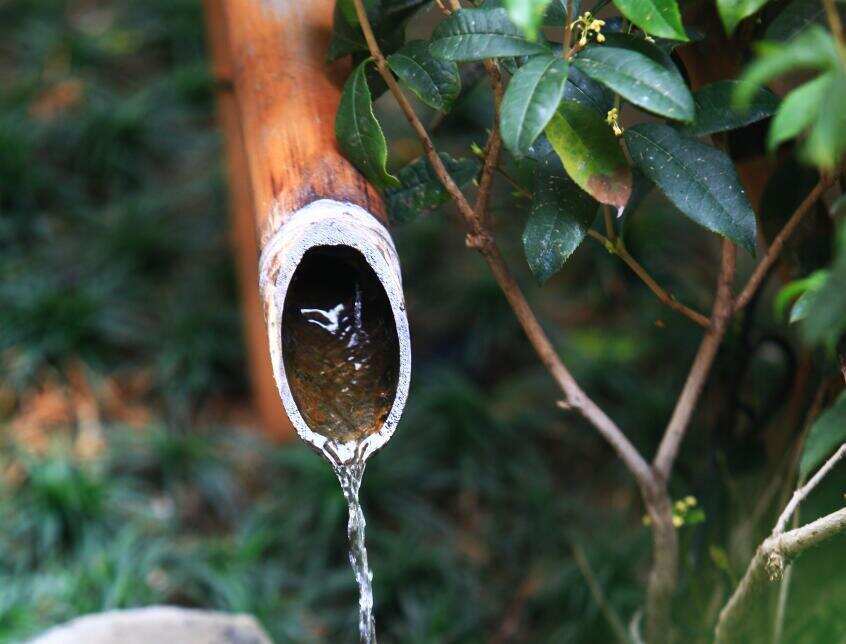 茶人请收藏,文采卓艺的茶诗词赏析与借鉴[美文零叁]