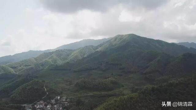 武夷岩茶怎么品饮，它都有什么品种，各自什么特点，终于不迷茫了