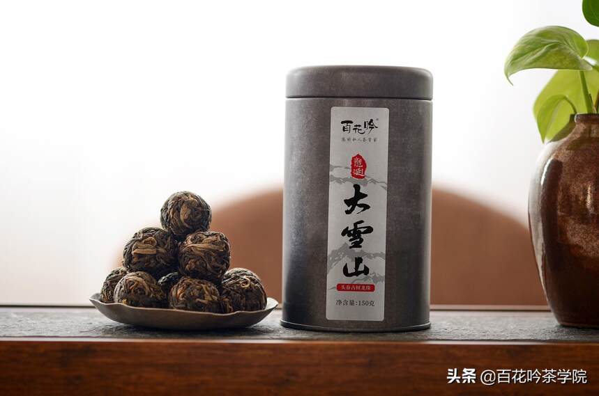 如何冲泡普洱茶？这样泡茶是在糟蹋茶