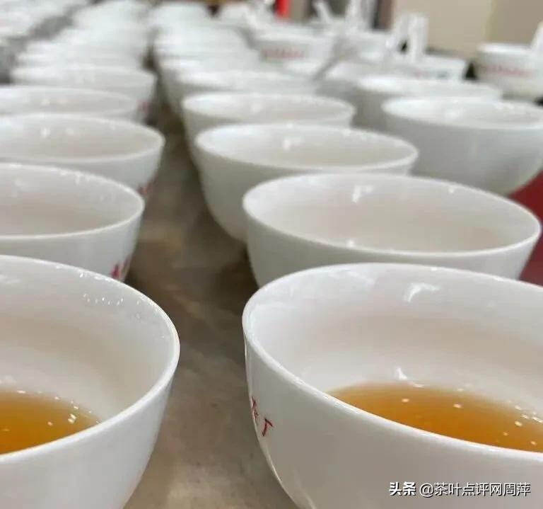 岩茶审评：怎样学好岩茶？