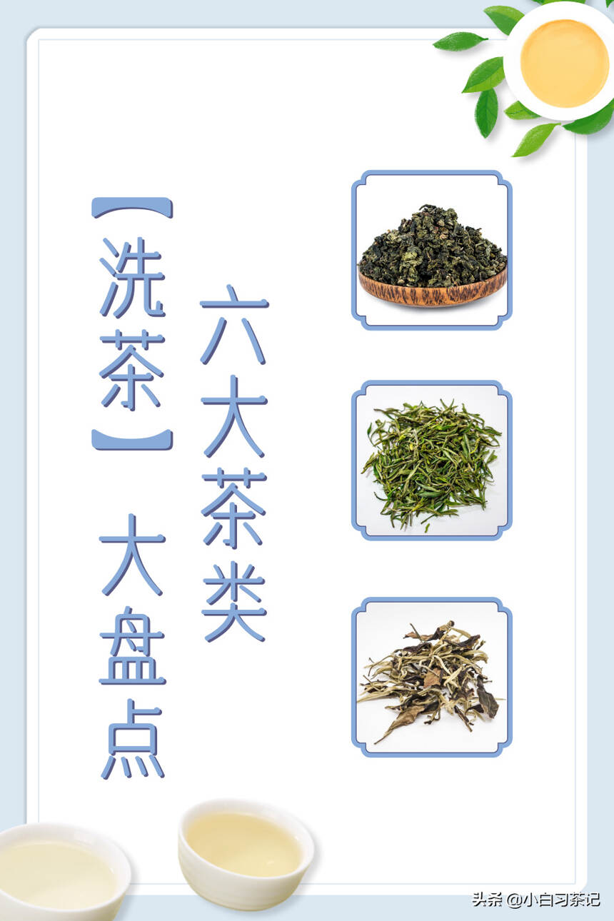 六大茶类，有哪些茶需要洗茶？