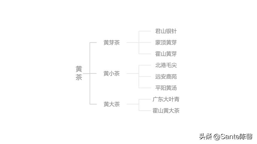 评茶篇————25，六大茶类 之 黄茶篇