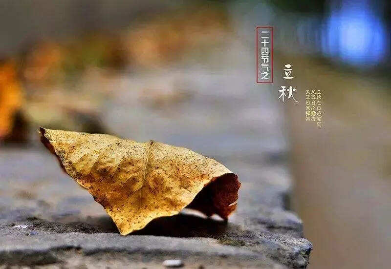 今天立秋，喝茶的习惯需要改变了