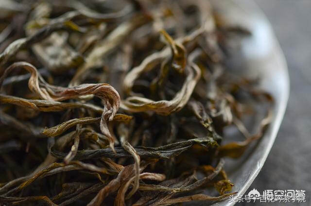 怎么辨别普洱茶是否古树茶，看完这篇文章就懂了！