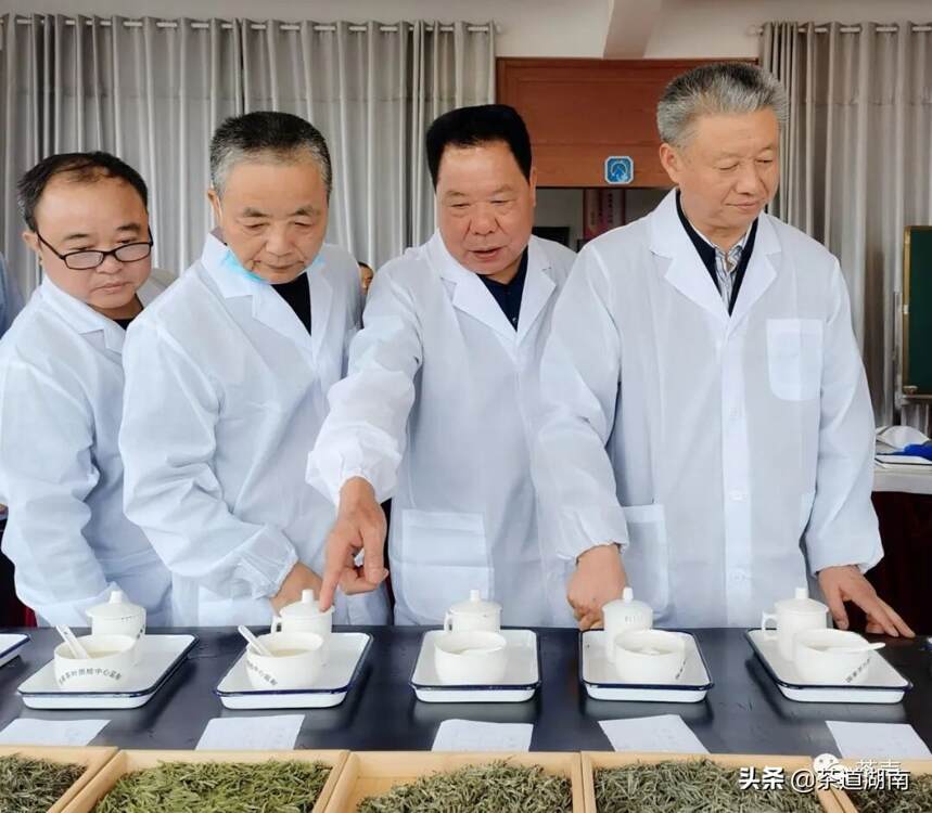 益阳十大名优红绿茶评选审评会在湖南城市学院举行