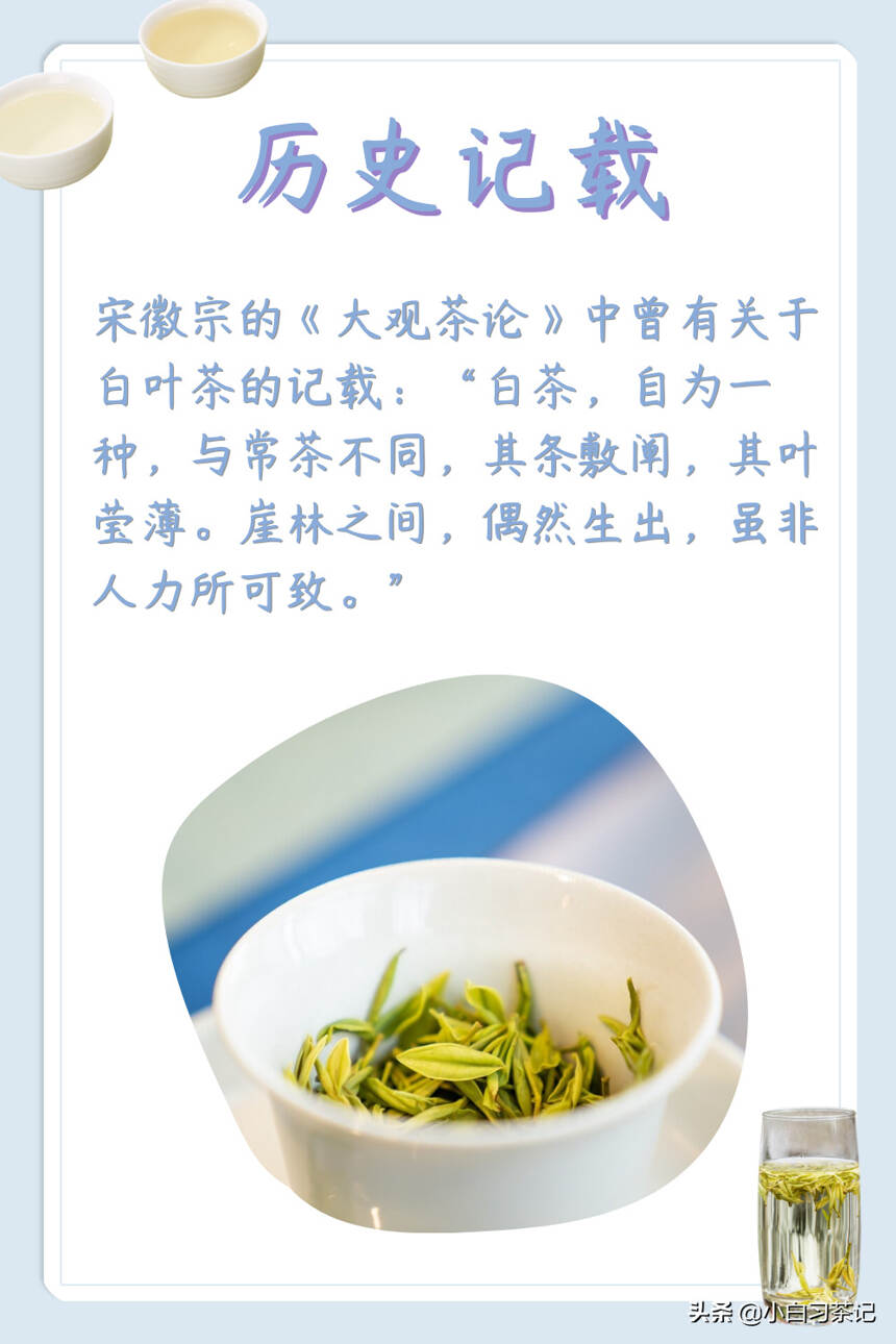 安吉白茶到底是不是白茶？干货满满