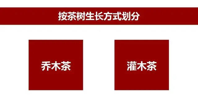 一张图看懂普洱茶的分类，清清楚楚明明白白