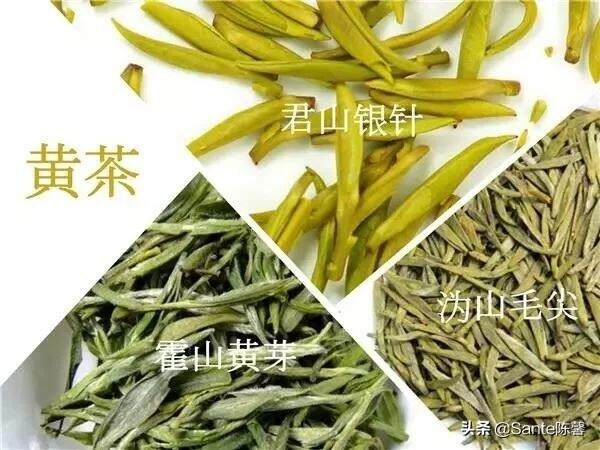 评茶篇————25，六大茶类 之 黄茶篇