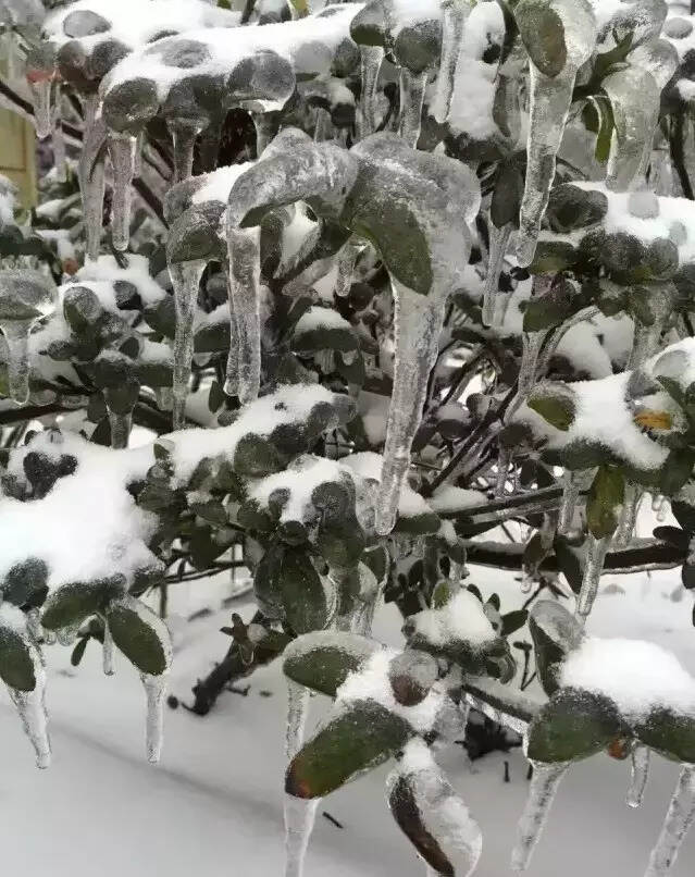 爱上武夷山，在你我相遇的一瞬间