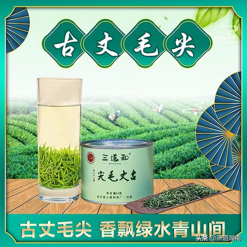 湖南省古丈县三道和茶厂彭小燕——三十年只为一杯茶