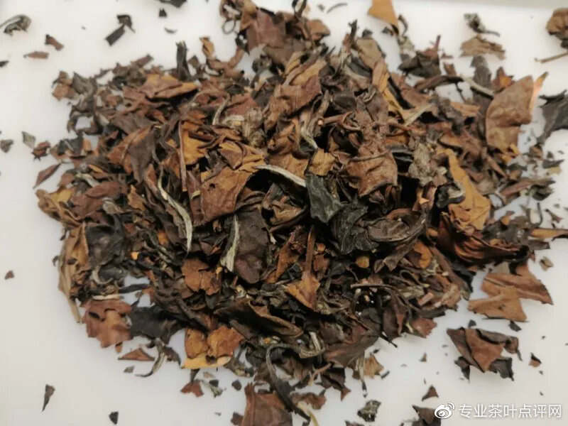 茶评 | 不同品种不同年份白茶审评