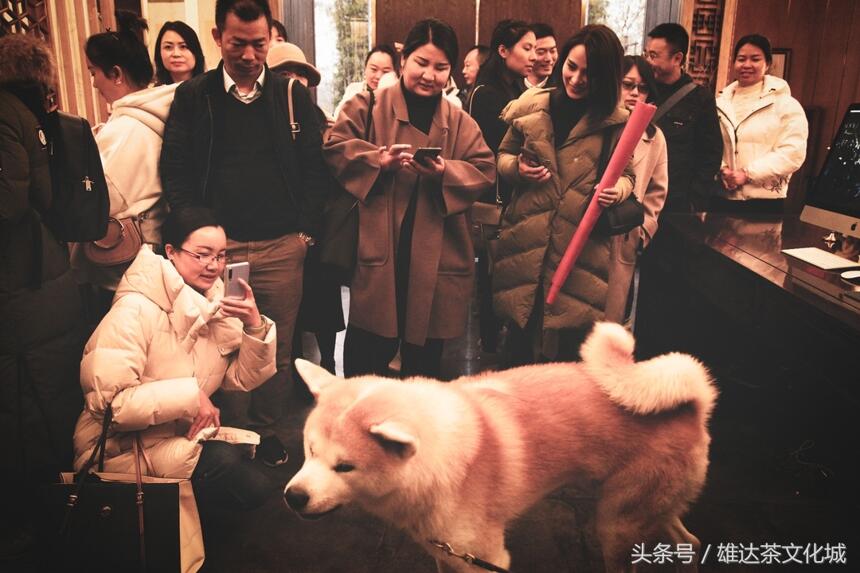 【名企求学·壹期】“茶企茶人品牌升级秘径”圆满结束！