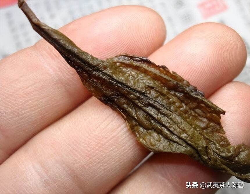 什么样的岩茶会出现蛤蟆背（下）有“蛤蟆背”一定=好茶？