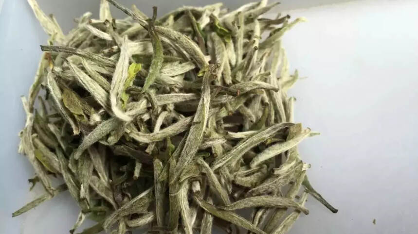 评茶真经--辨识老白茶（一）