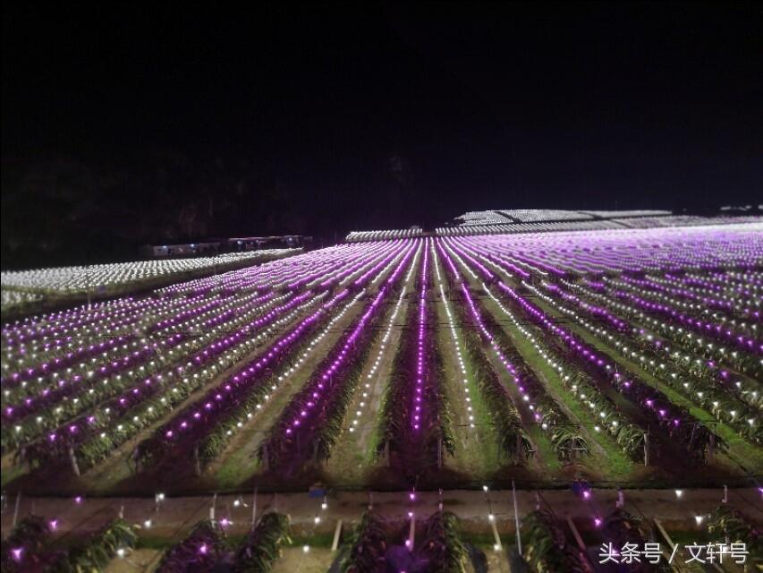 广西武鸣区石头寨