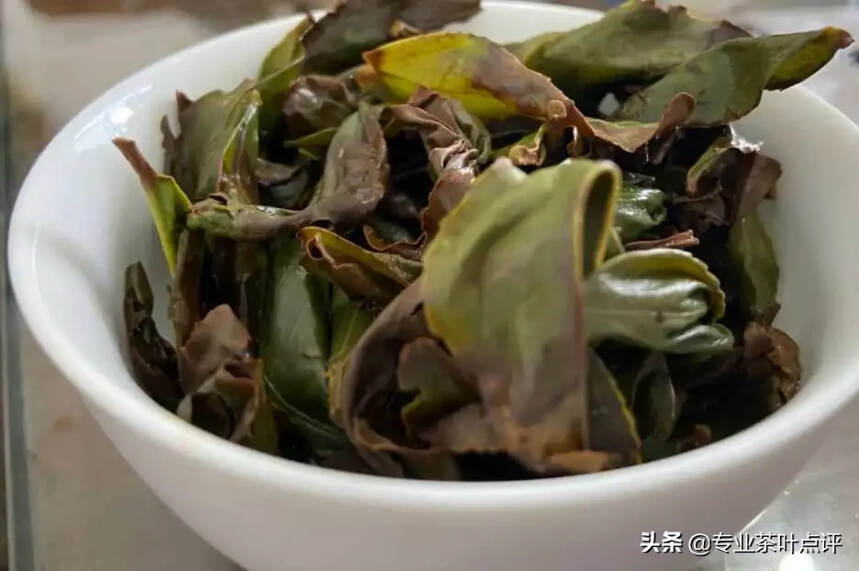 叶底看茶的门道：为啥有人爱看叶底？