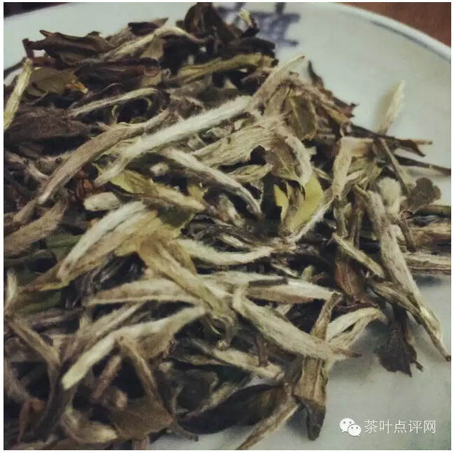 茶修｜你所不知道的十大名茶专治功效和特制保健茶