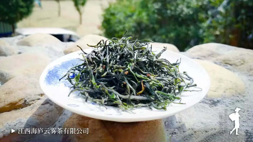 寻茶九江 | 深山云雾出好茶