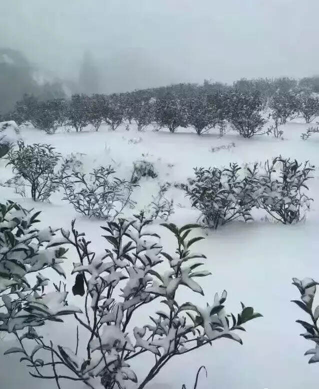 爱上武夷山，在你我相遇的一瞬间