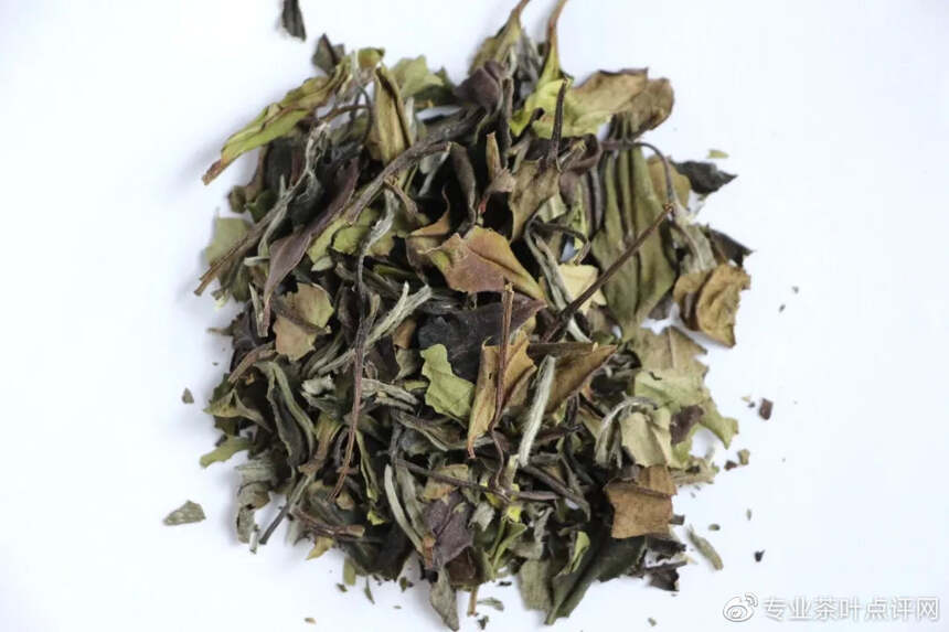 茶评 | 不同品种不同年份白茶审评