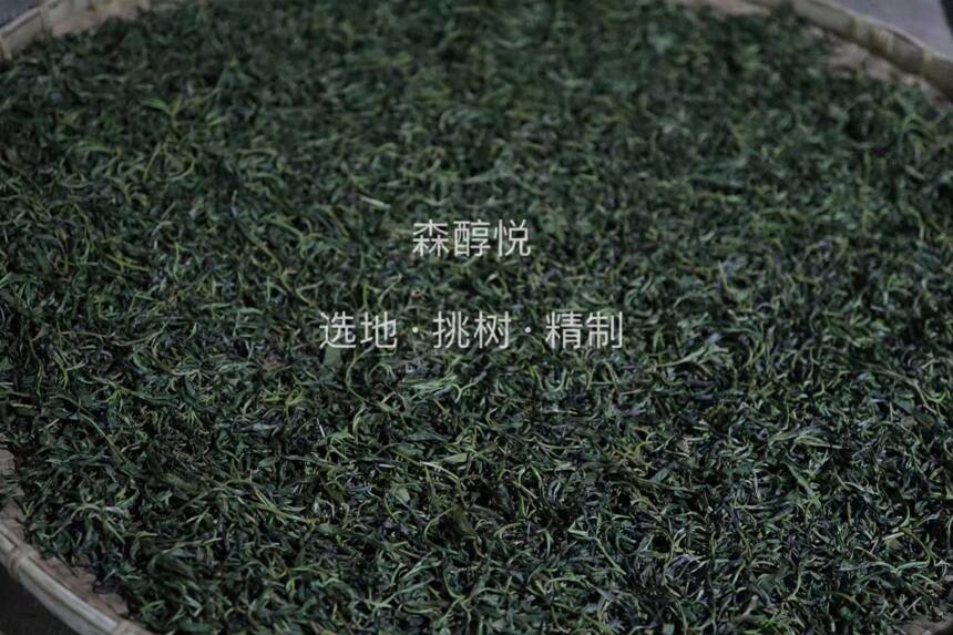 普洱茶“制前发酵”工艺都有哪些？