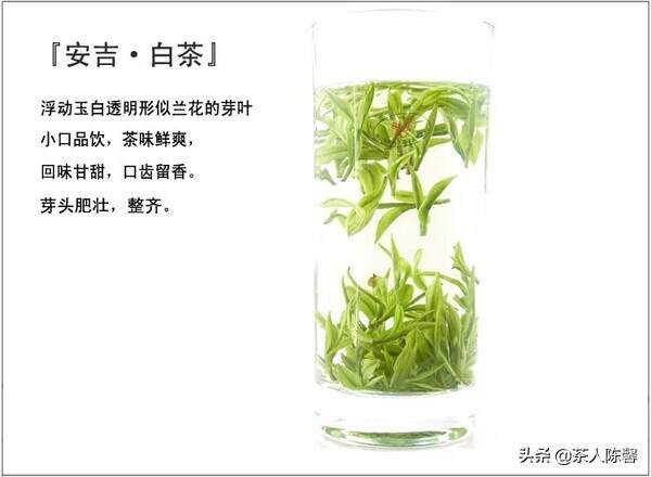 番外篇——你不知道的5个茶叶小误区