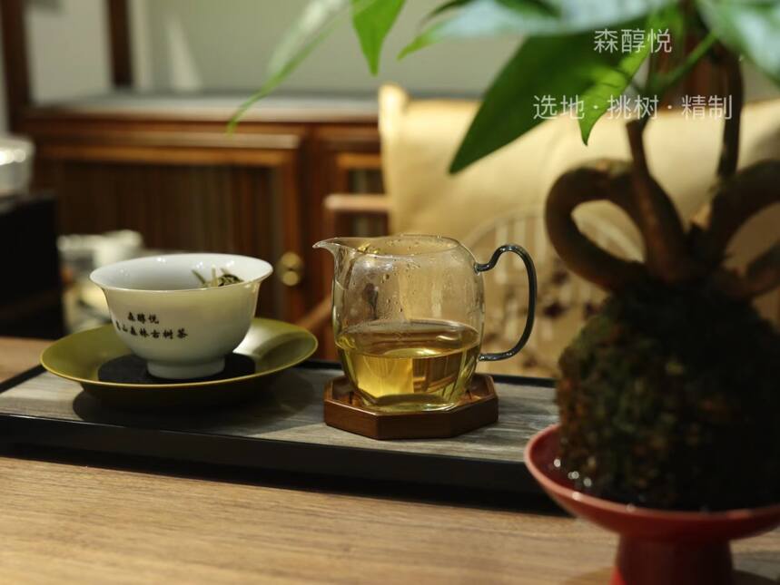 如何区分春茶、夏茶、秋茶、冬茶？