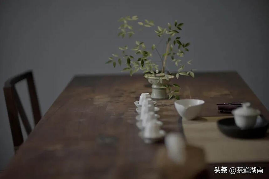 这间茶宿，在城中安放了一片山林