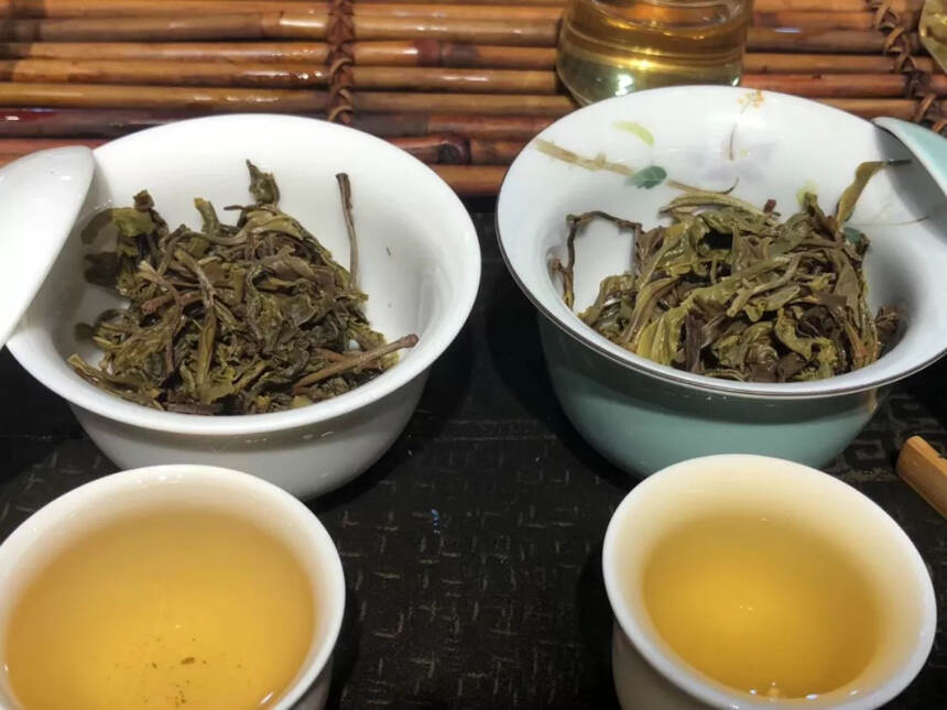 如何从口感判断普洱茶的树龄？古树茶有哪些特点？