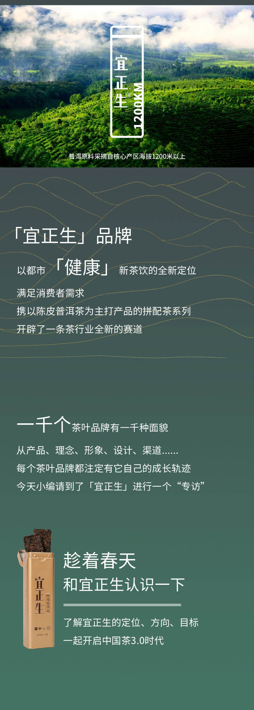 趁着春天，我们认识一下