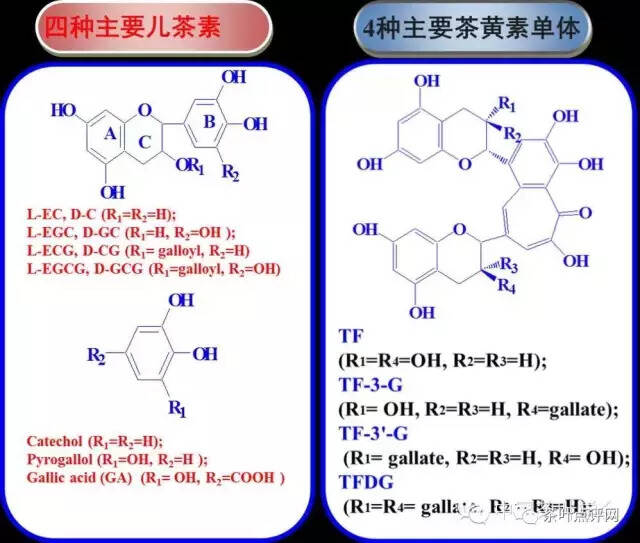 红茶——健康使者，自由基的清道夫，冬日的暖阳