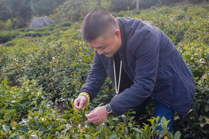 “宸奉贡”庐山云雾茶业 陈峰：奉茶之道 在于初心